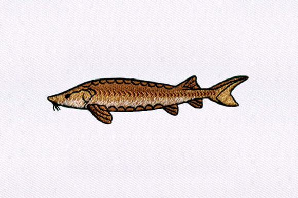 Brown Fish Design Review