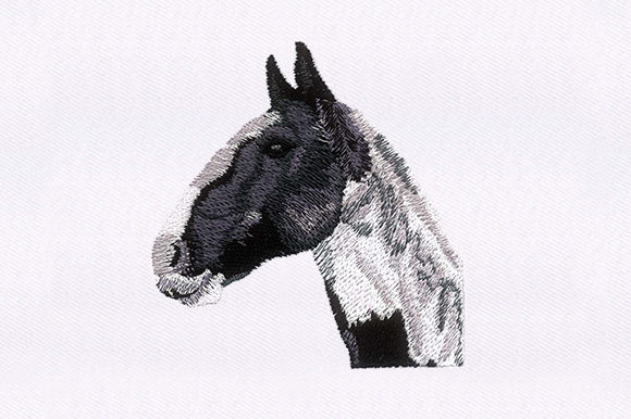 Horse Portrait Design