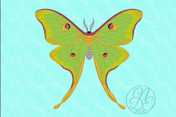 Luna Moth - ITH Review